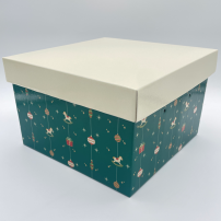 capp_quad_fant_verde_800x800